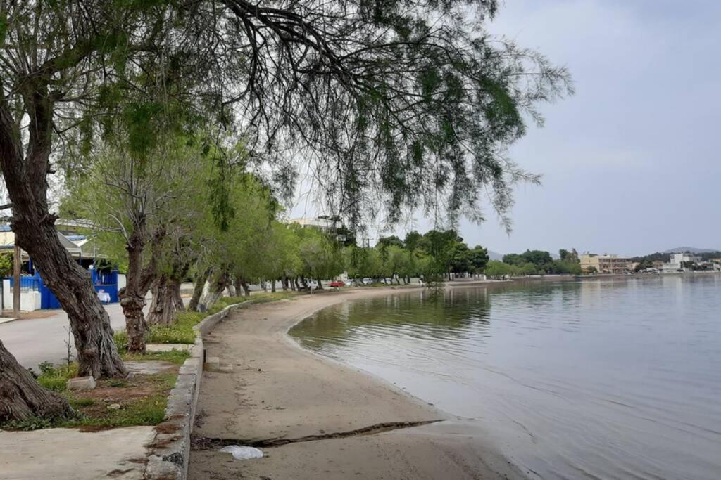 Πολυτελές Διαμέρισμα 2 Χαλκίδα-Παραλία Αυλίδος Paralia Avlidhos Екстер'єр фото